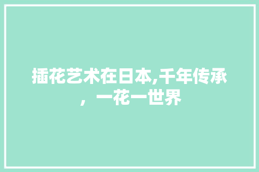 插花艺术在日本,千年传承，一花一世界
