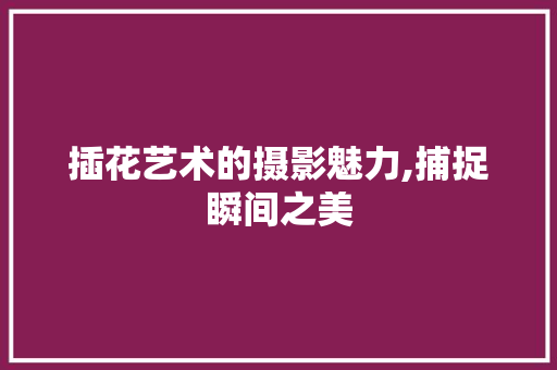 插花艺术的摄影魅力,捕捉瞬间之美