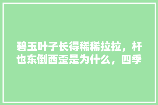 碧玉叶子长得稀稀拉拉，杆也东倒西歪是为什么，四季碧玉植物的养护方法视频。