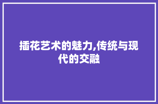 插花艺术的魅力,传统与现代的交融 土壤选择