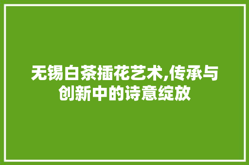 无锡白茶插花艺术,传承与创新中的诗意绽放