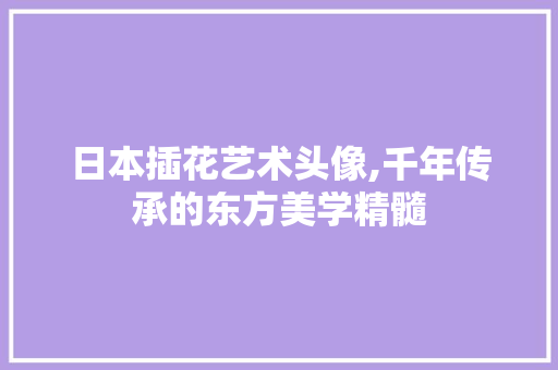 日本插花艺术头像,千年传承的东方美学精髓