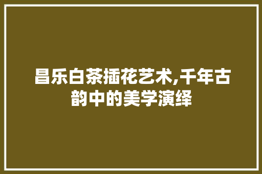 昌乐白茶插花艺术,千年古韵中的美学演绎
