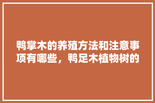 鸭掌木的养殖方法和注意事项有哪些，鸭足木植物树的养护方法。