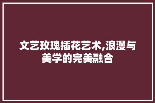 文艺玫瑰插花艺术,浪漫与美学的完美融合