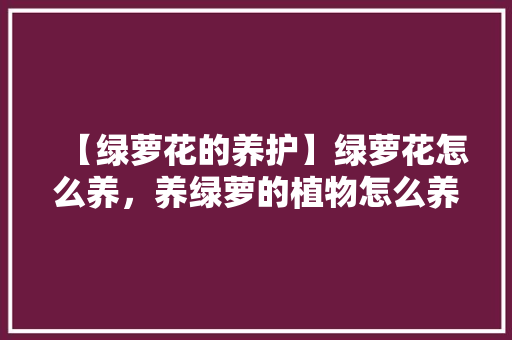 【绿萝花的养护】绿萝花怎么养，养绿萝的植物怎么养护好。  第1张 【绿萝花的养护】绿萝花怎么养，养绿萝的植物怎么养护好。 观叶植物