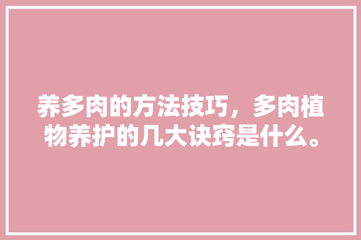 养多肉的方法技巧，多肉植物养护的几大诀窍是什么。  第1张 养多肉的方法技巧，多肉植物养护的几大诀窍是什么。 植物分类