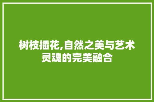 树枝插花,自然之美与艺术灵魂的完美融合 灌溉技术