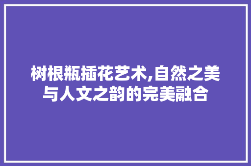 树根瓶插花艺术,自然之美与人文之韵的完美融合