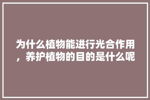 为什么植物能进行光合作用，养护植物的目的是什么呢英语。