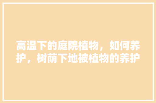 高温下的庭院植物，如何养护，树荫下地被植物的养护方法。