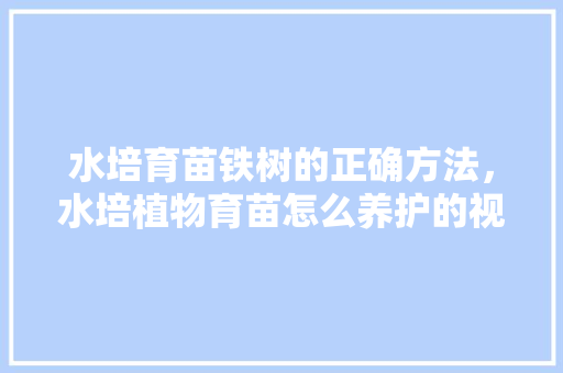 水培育苗铁树的正确方法，水培植物育苗怎么养护的视频。