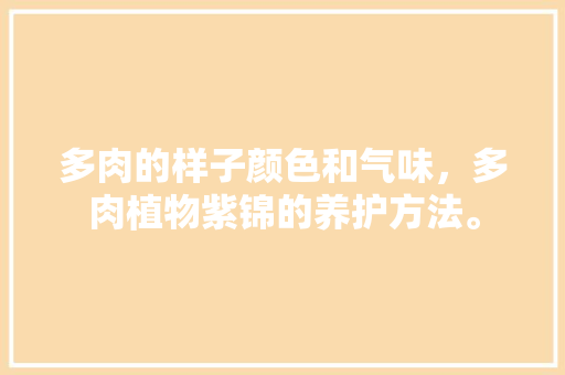 多肉的样子颜色和气味，多肉植物紫锦的养护方法。