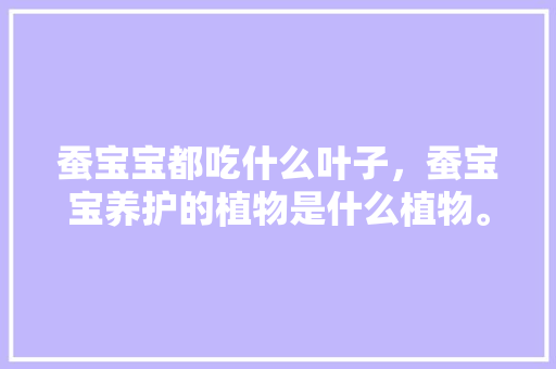 蚕宝宝都吃什么叶子，蚕宝宝养护的植物是什么植物。