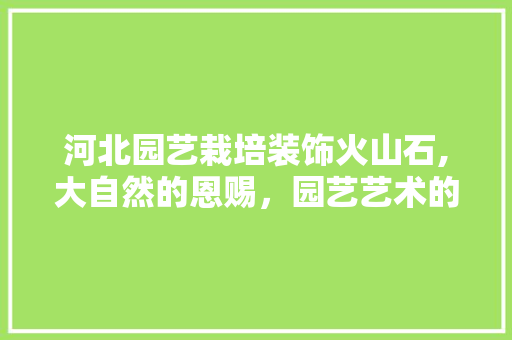 河北园艺栽培装饰火山石,大自然的恩赐，园艺艺术的瑰宝