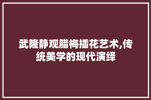 武隆静观腊梅插花艺术,传统美学的现代演绎