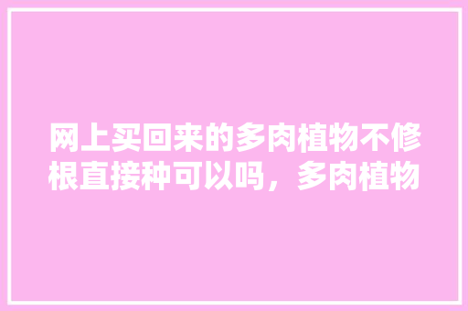 网上买回来的多肉植物不修根直接种可以吗，多肉植物的新苗怎么养护好。
