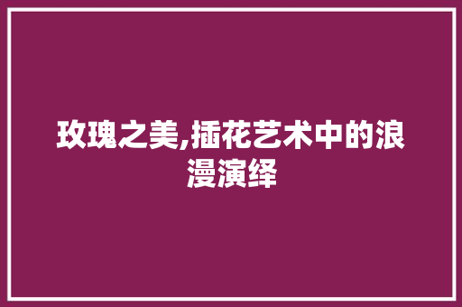 玫瑰之美,插花艺术中的浪漫演绎