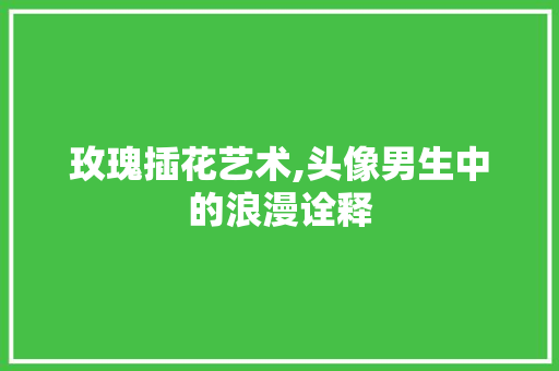 玫瑰插花艺术,头像男生中的浪漫诠释 树木