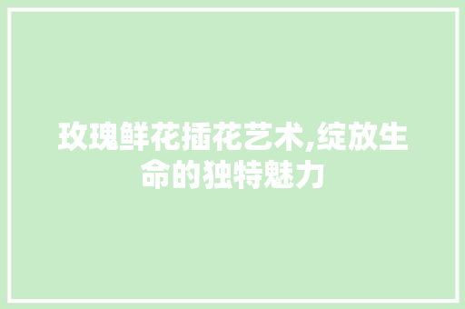 玫瑰鲜花插花艺术,绽放生命的独特魅力 爬藤植物