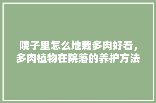 院子里怎么地栽多肉好看，多肉植物在院落的养护方法。