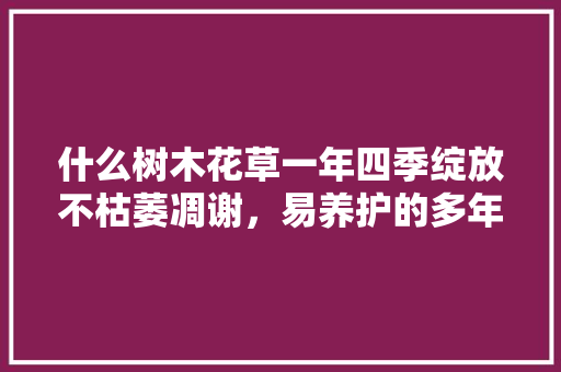 什么树木花草一年四季绽放不枯萎凋谢，易养护的多年生常绿植物有哪些。