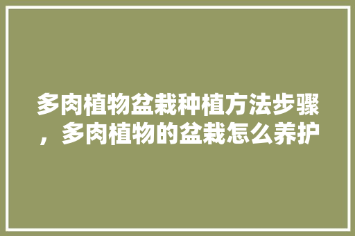 多肉植物盆栽种植方法步骤，多肉植物的盆栽怎么养护和管理。  第1张 多肉植物盆栽种植方法步骤，多肉植物的盆栽怎么养护和管理。 灌溉方法
