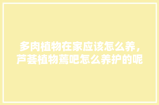 多肉植物在家应该怎么养，芦荟植物蔫吧怎么养护的呢。  第1张 多肉植物在家应该怎么养，芦荟植物蔫吧怎么养护的呢。 观叶植物
