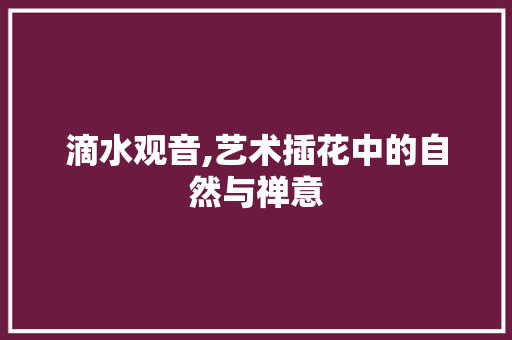 滴水观音,艺术插花中的自然与禅意