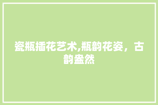 瓷瓶插花艺术,瓶韵花姿，古韵盎然 土壤选择