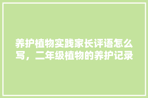 养护植物实践家长评语怎么写，二年级植物的养护记录怎么写。