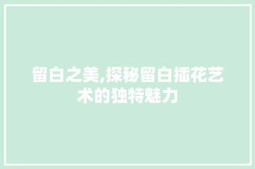 留白之美,探秘留白插花艺术的独特魅力