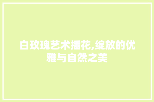 白玫瑰艺术插花,绽放的优雅与自然之美 植物栽培