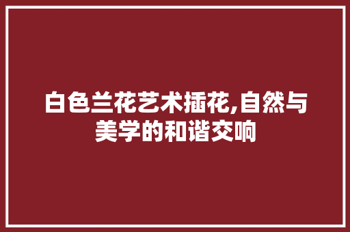 白色兰花艺术插花,自然与美学的和谐交响