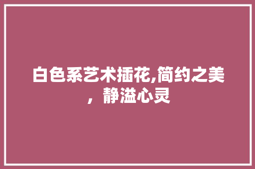 白色系艺术插花,简约之美，静溢心灵 花卉