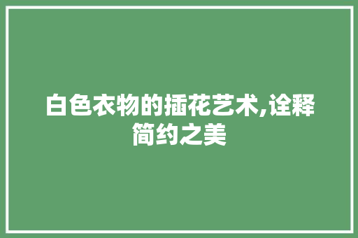 白色衣物的插花艺术,诠释简约之美