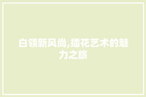 白领新风尚,插花艺术的魅力之旅 土壤选择