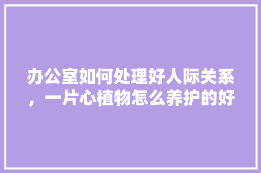 办公室如何处理好人际关系，一片心植物怎么养护的好呢。