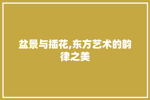 盆景与插花,东方艺术的韵律之美 养护技巧
