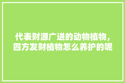 代表财源广进的动物植物，四方发财植物怎么养护的呢。