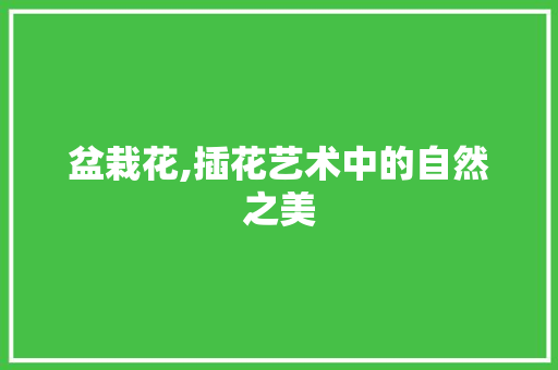 盆栽花,插花艺术中的自然之美 土壤管理