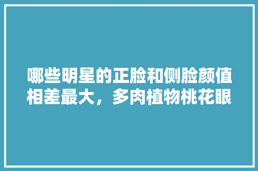 哪些明星的正脸和侧脸颜值相差最大，多肉植物桃花眼的养护方法。