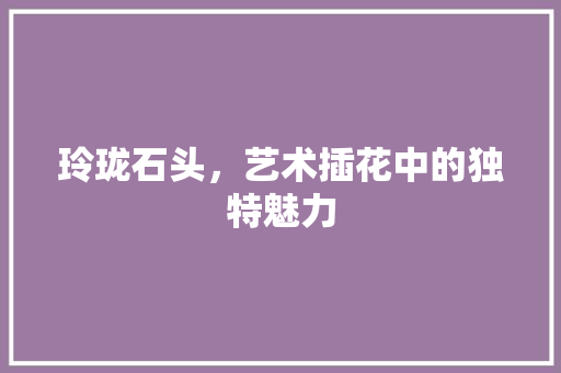 玲珑石头，艺术插花中的独特魅力