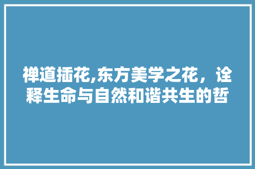 禅道插花,东方美学之花，诠释生命与自然和谐共生的哲学 花卉