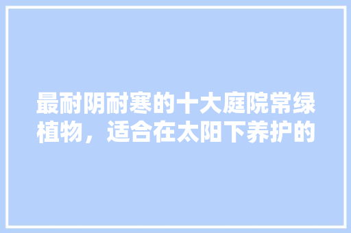 最耐阴耐寒的十大庭院常绿植物，适合在太阳下养护的植物有哪些。