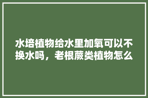 水培植物给水里加氧可以不换水吗，老根蕨类植物怎么养护的视频。