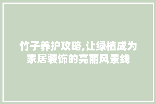 竹子养护攻略,让绿植成为家居装饰的亮丽风景线 园艺知识