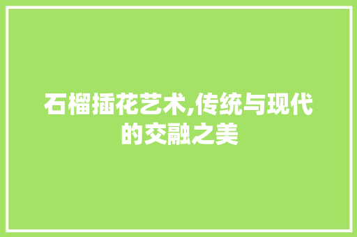 石榴插花艺术,传统与现代的交融之美