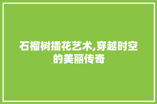 石榴树插花艺术,穿越时空的美丽传奇