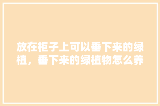 放在柜子上可以垂下来的绿植，垂下来的绿植物怎么养护好。